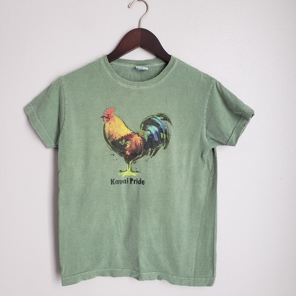 crazy shirt Tops - Crazy Shirt | Hawaii Tee- XS